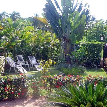 Casa Lily & Coco Aparthotel Las Terrenas Exterior photo