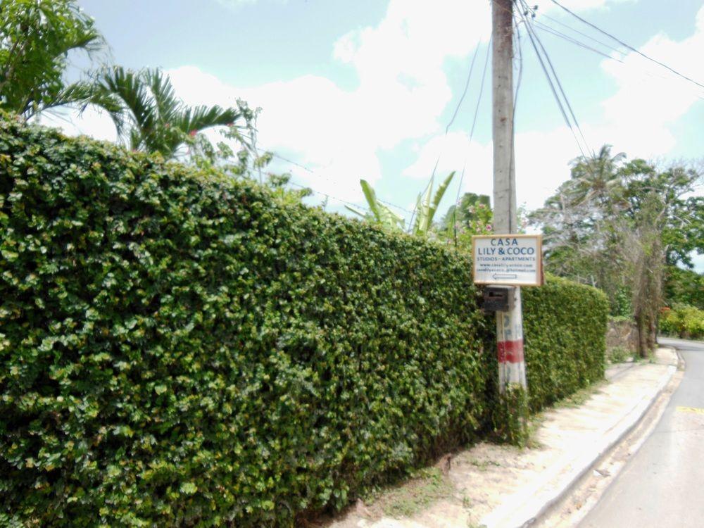 Casa Lily & Coco Aparthotel Las Terrenas Exterior photo