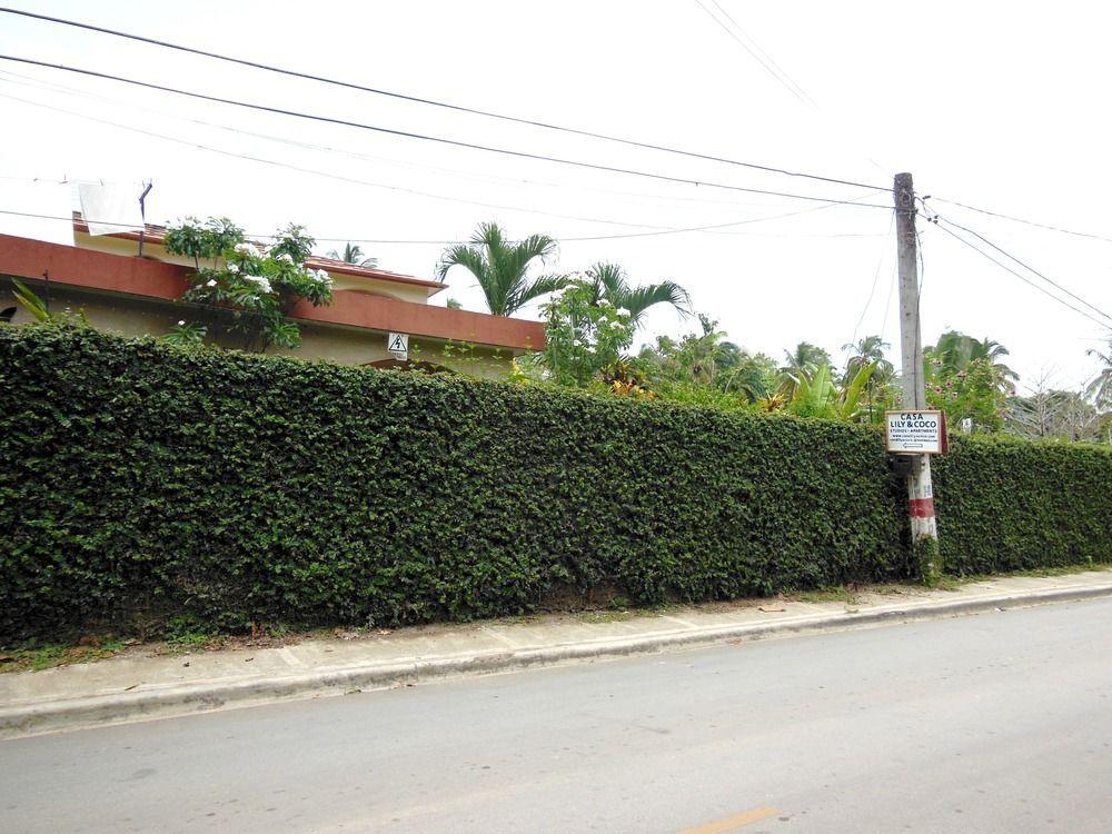 Casa Lily & Coco Aparthotel Las Terrenas Exterior photo