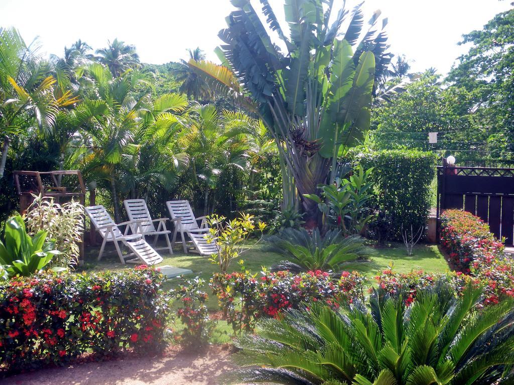 Casa Lily & Coco Aparthotel Las Terrenas Exterior photo