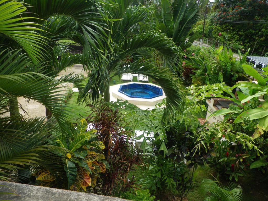 Casa Lily & Coco Aparthotel Las Terrenas Exterior photo